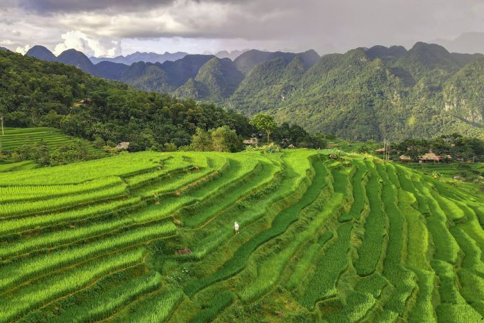 Admire the rice terraces during your Pu Luong itinerary 5-day