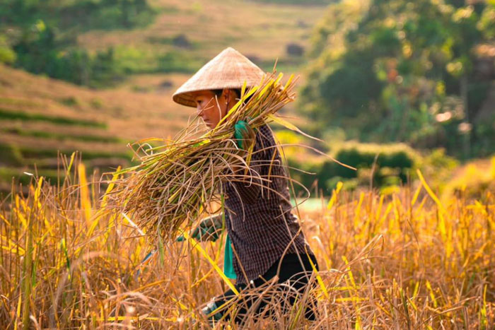 Pu Luong 3 days tour