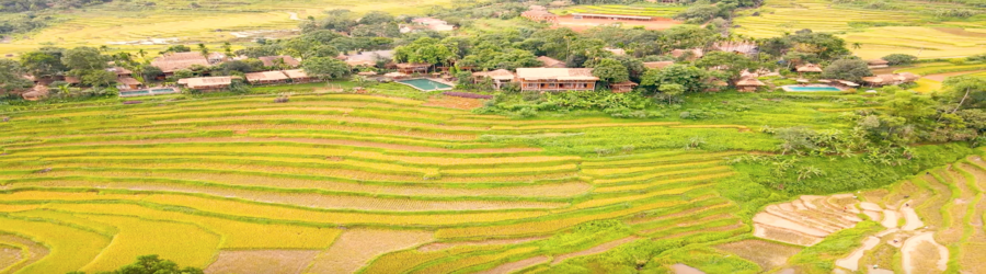  2 days in Pu Luong: What to do in Pu Luong Vietnam in 2 days?