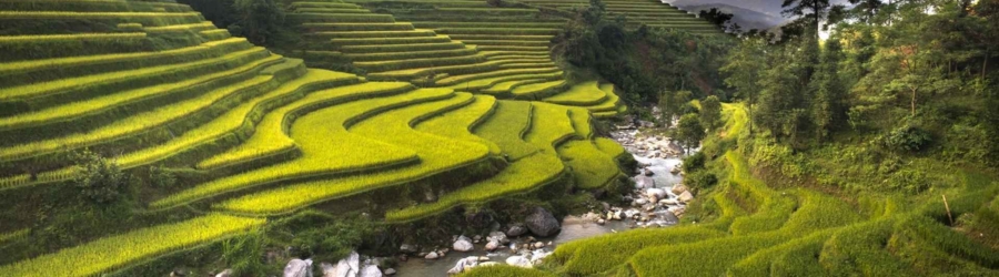 What to do in Pu Luong Vietnam for the most interesting trip? 