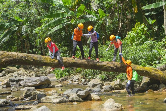 The best places to trek in Quang Binh are also a fragile ecosystem