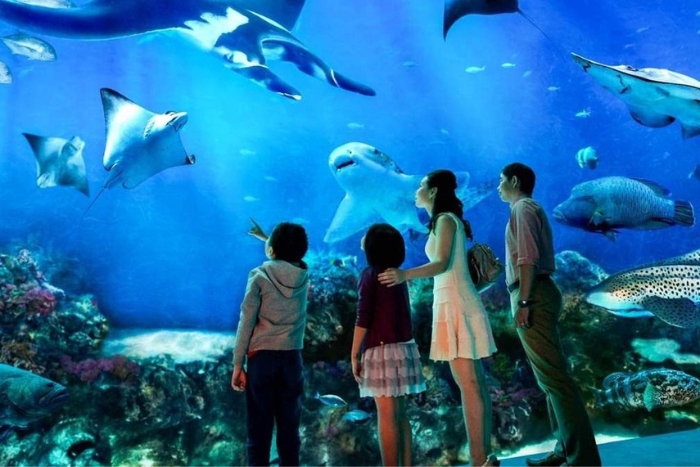 S.E.A Aquarium, an ideal October holiday destination to go with kids