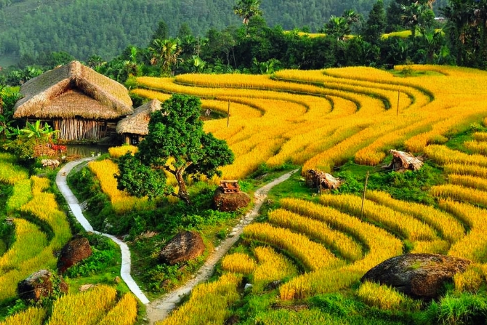 Ta Phin - Authentic beauty of the mountain villages