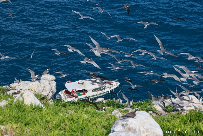 Crystal-clear turquoise beaches in Con Dao