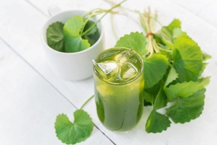 Pennywort juice