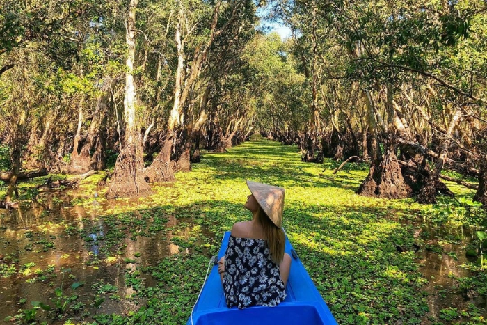 Tra Su Cajuput Forest