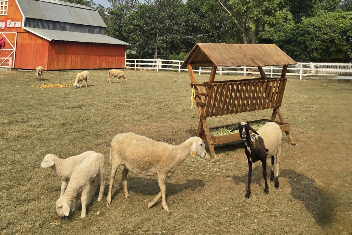 Northern Vietnam - terraces, mountains and traditional lifestyles