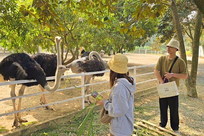 Help with farm work and animal care