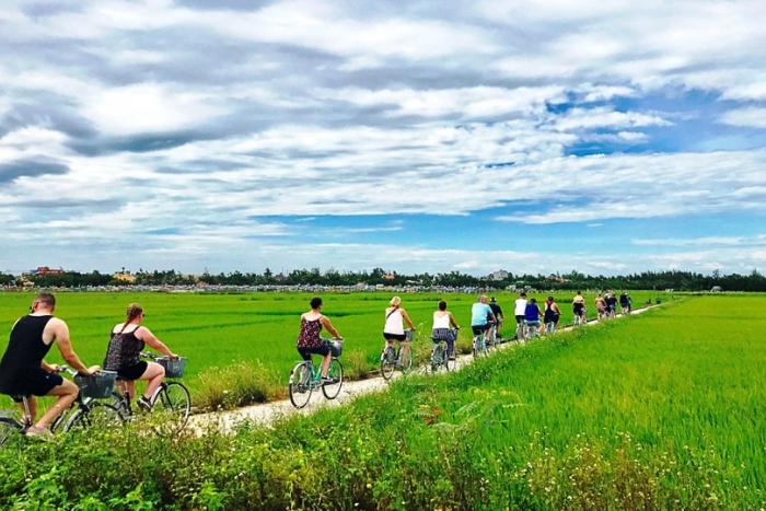Bike or hike through rice paddies