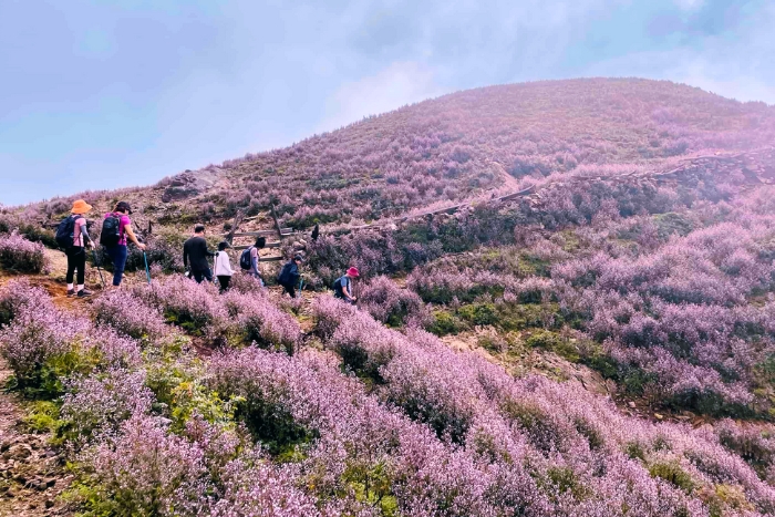 Trekking on Ta Chi Nhu blends flowers, clouds, and sky