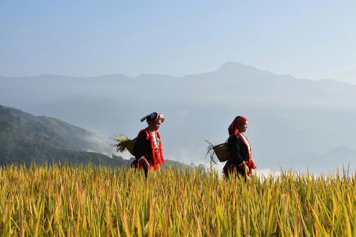 Vietnam was voted Asia’s Leading Sustainable Tourism Destination 2021 by the World Travel Awards