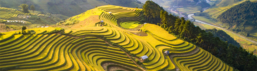 4-day trip to Yen Bai Lao Cai