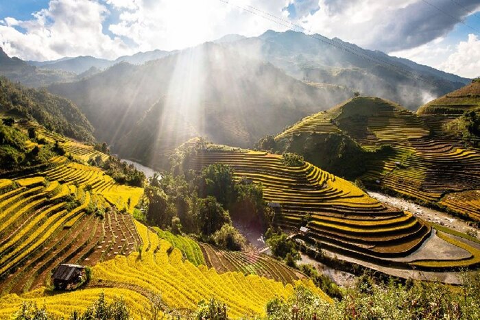 Muong Lo rice fields