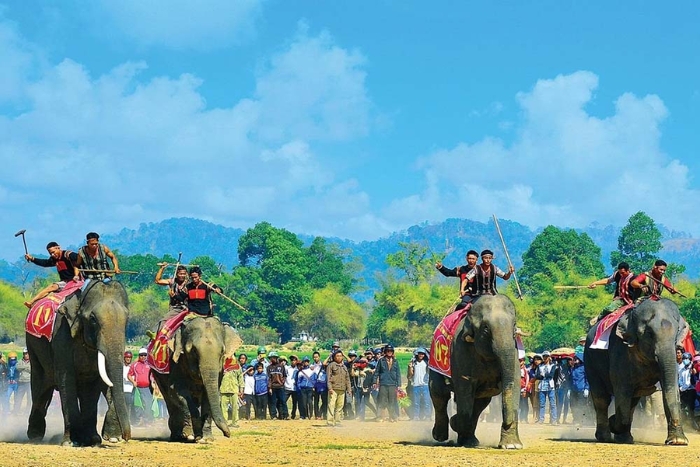 A cultural highlight in Vietnam: Buôn Đôn elephant racing festival