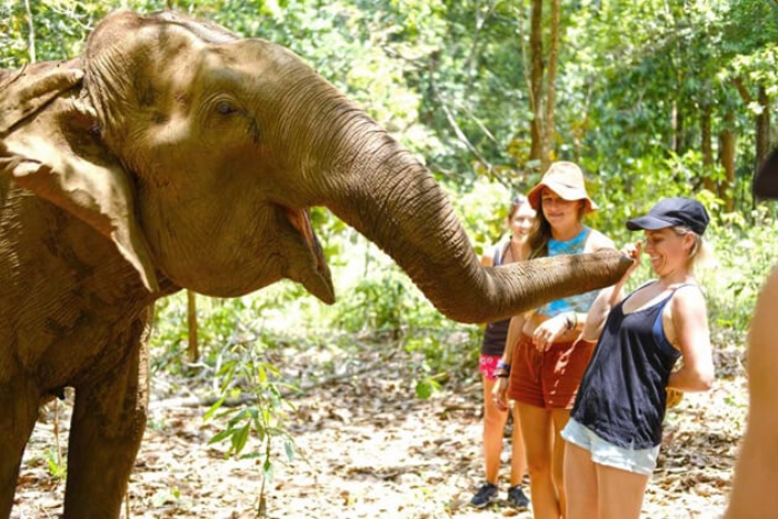 The elephant valley experience in Cambodia - Discover one of the top places to visit in March